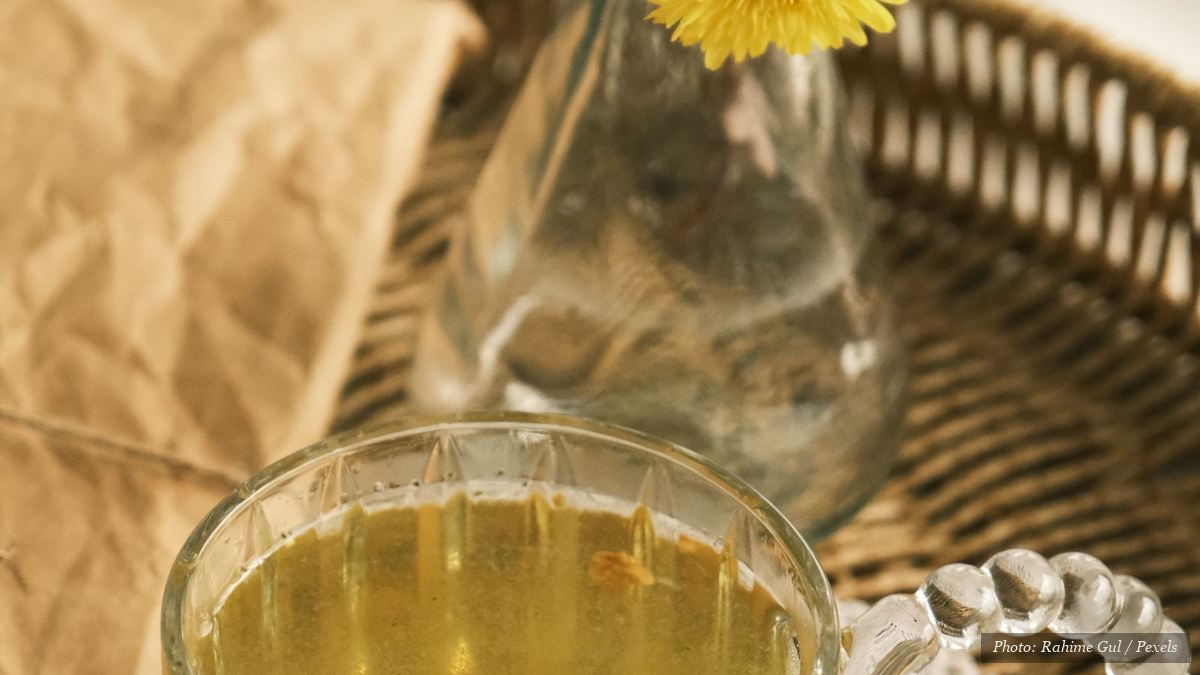 Glass mug of golden chrysanthemum tea with fresh spring flowers