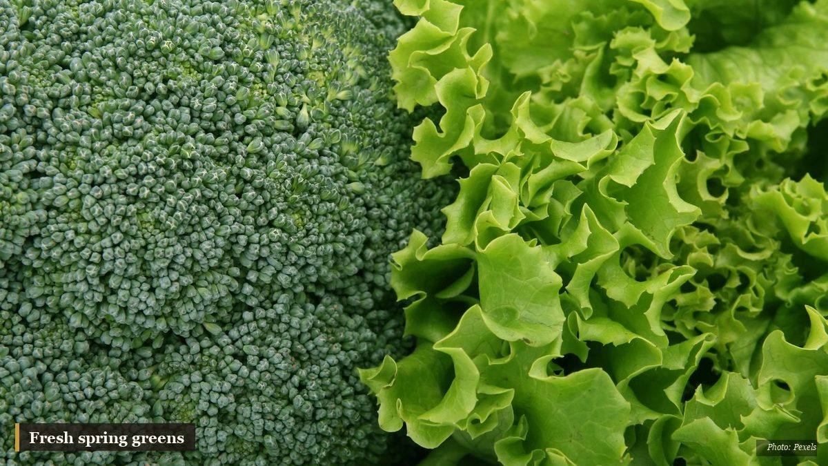 Fresh green spring vegetables and wild edible greens arranged on a wooden surface