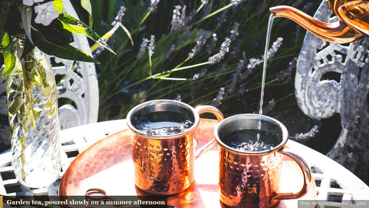 Pouring herbal tea into cups on a garden table beside lavender