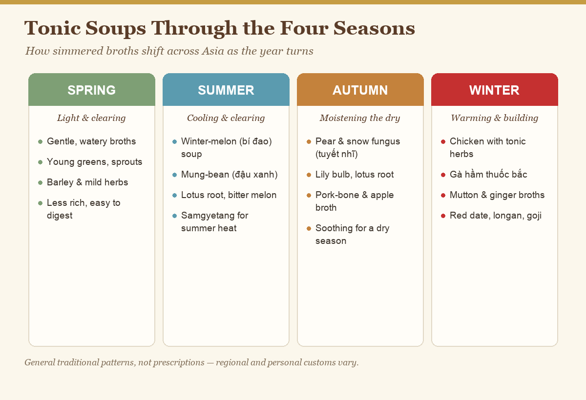 Four-season comparison chart of Asian tonic soups from spring to winter
