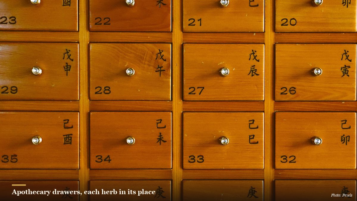 Wall of small labeled wooden drawers in a traditional Chinese herbal pharmacy