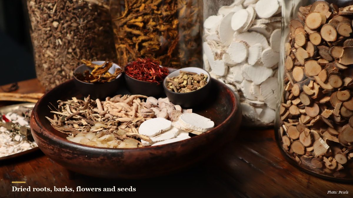 Assortment of dried Chinese herbs roots and berries arranged on a wooden surface