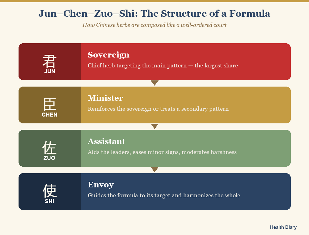 Diagram of the jun chen zuo shi sovereign minister assistant envoy herbal formula hierarchy