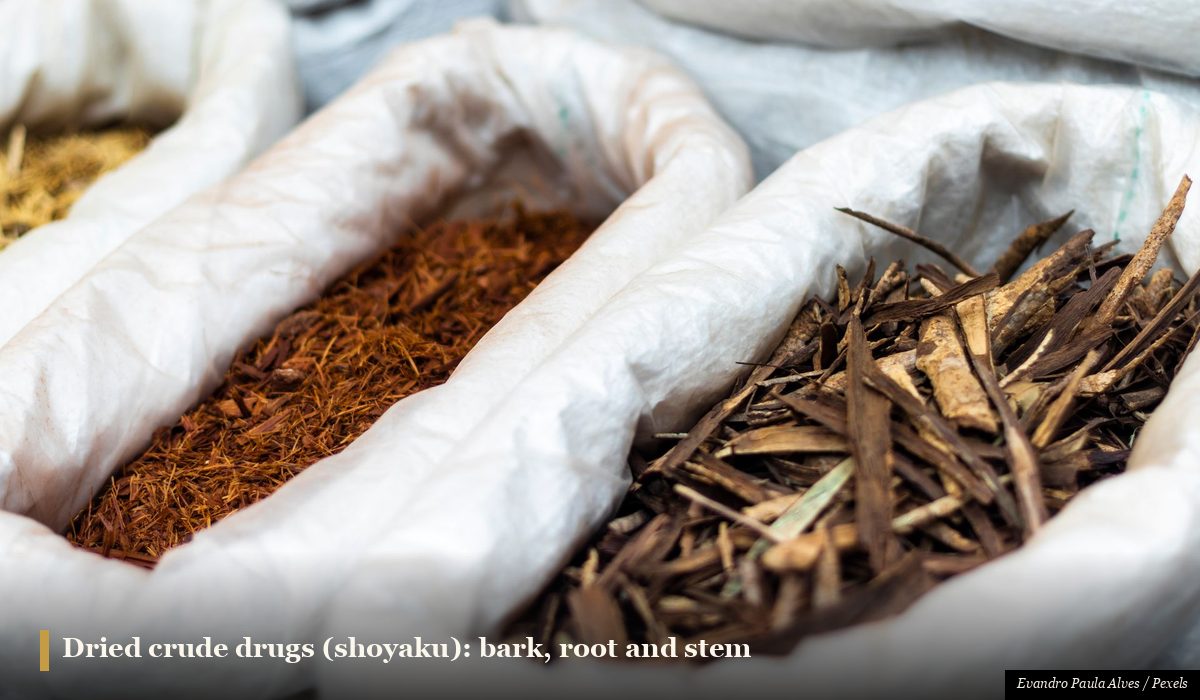 Assortment of dried Japanese herbal medicine crude drugs roots and bark on a wooden surface