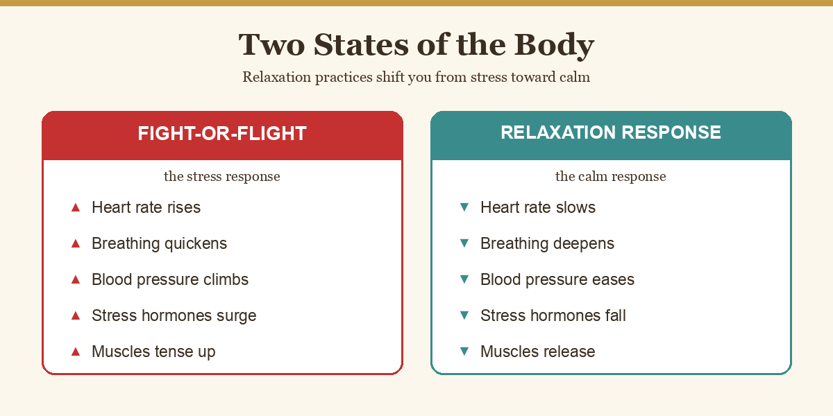 Diagram contrasting the calm relaxation response with the fight-or-flight stress response