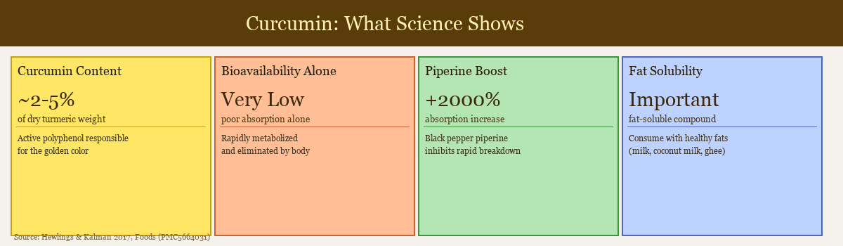 Infographic showing curcumin science: content percentage, bioavailability, piperine boost, and fat solubility