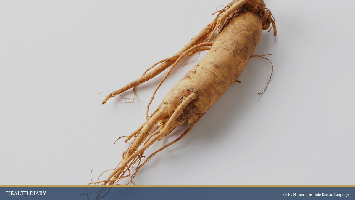 Whole fresh Korean Panax ginseng root with characteristic forked man-shape on white background