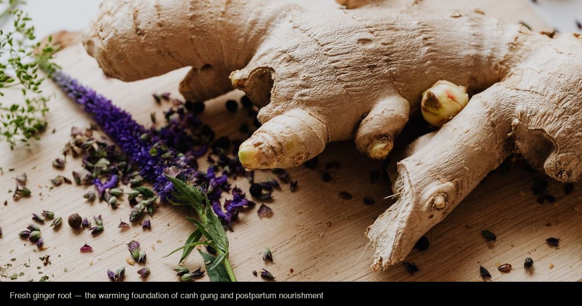 Fresh ginger root with herbs — the warming foundation of canh gừng (Vietnamese ginger soup) for postpartum and cold-season nourishment