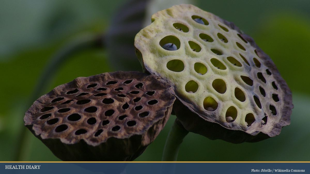 Two lotus seed pods one fresh and one dried showing the seeds used in Vietnamese cooking