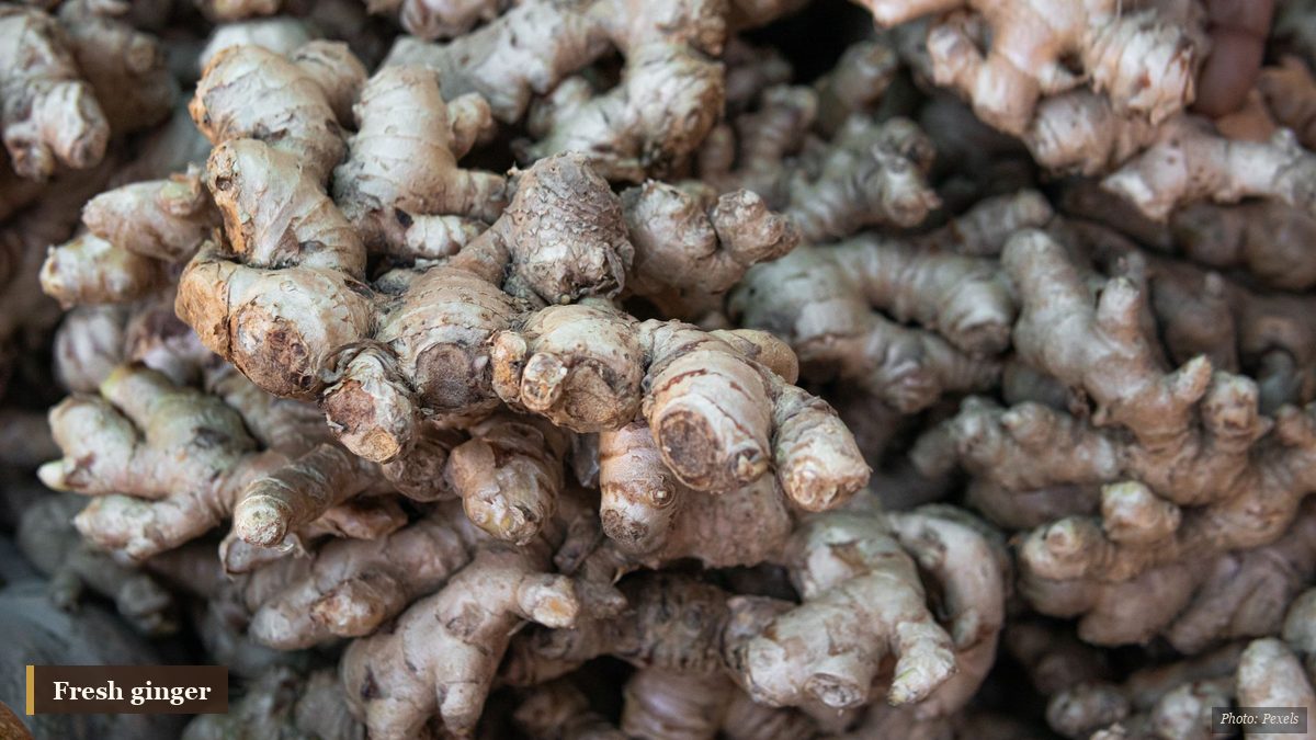 Close-up of fresh ginger roots used in warming winter cooking