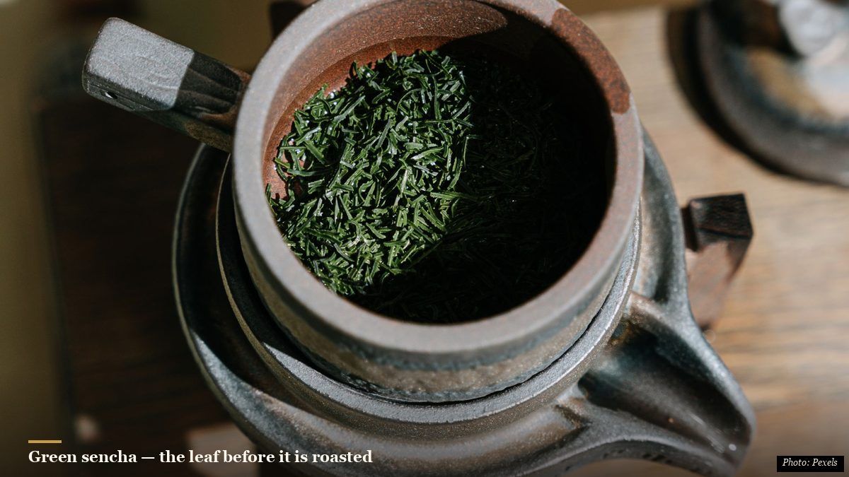 Pale, minimally processed white tea leaves