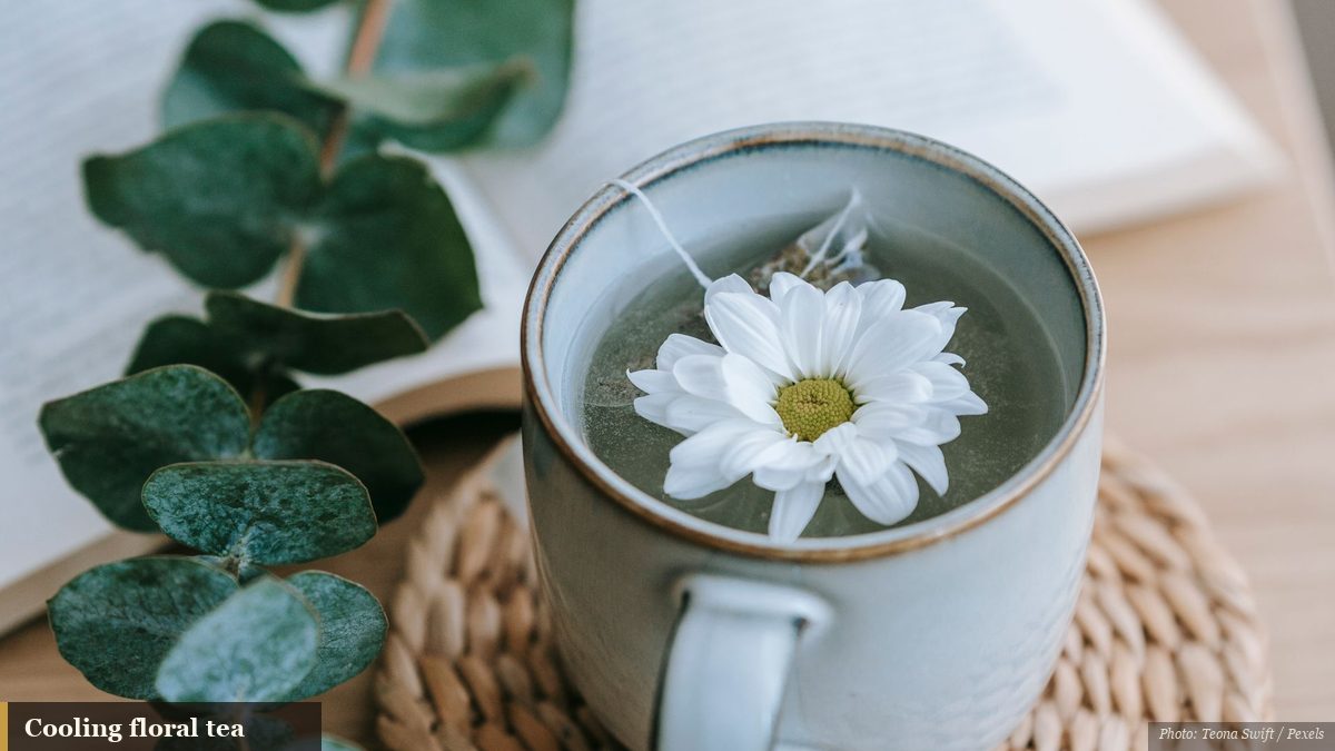 A delicate cup of white tea with a floating blossom