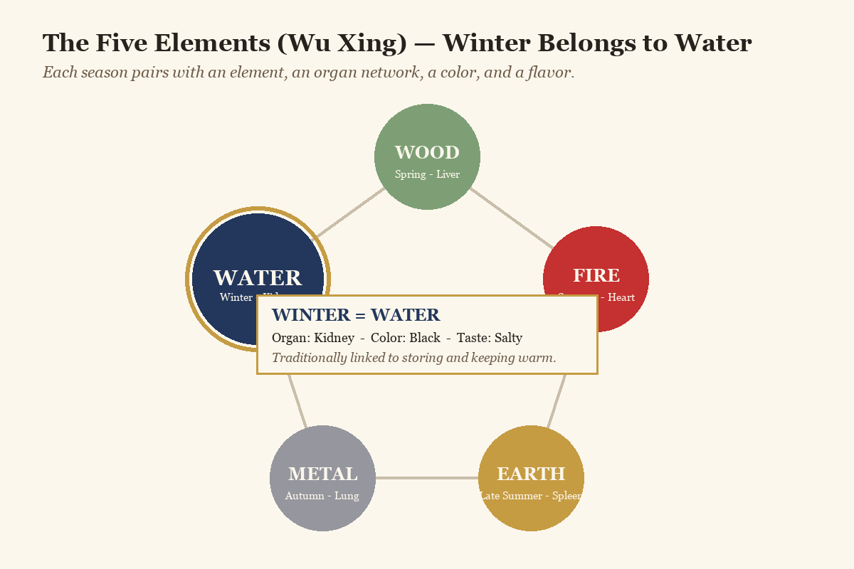 Five Elements wheel diagram showing winter paired with the Water element and kidneys